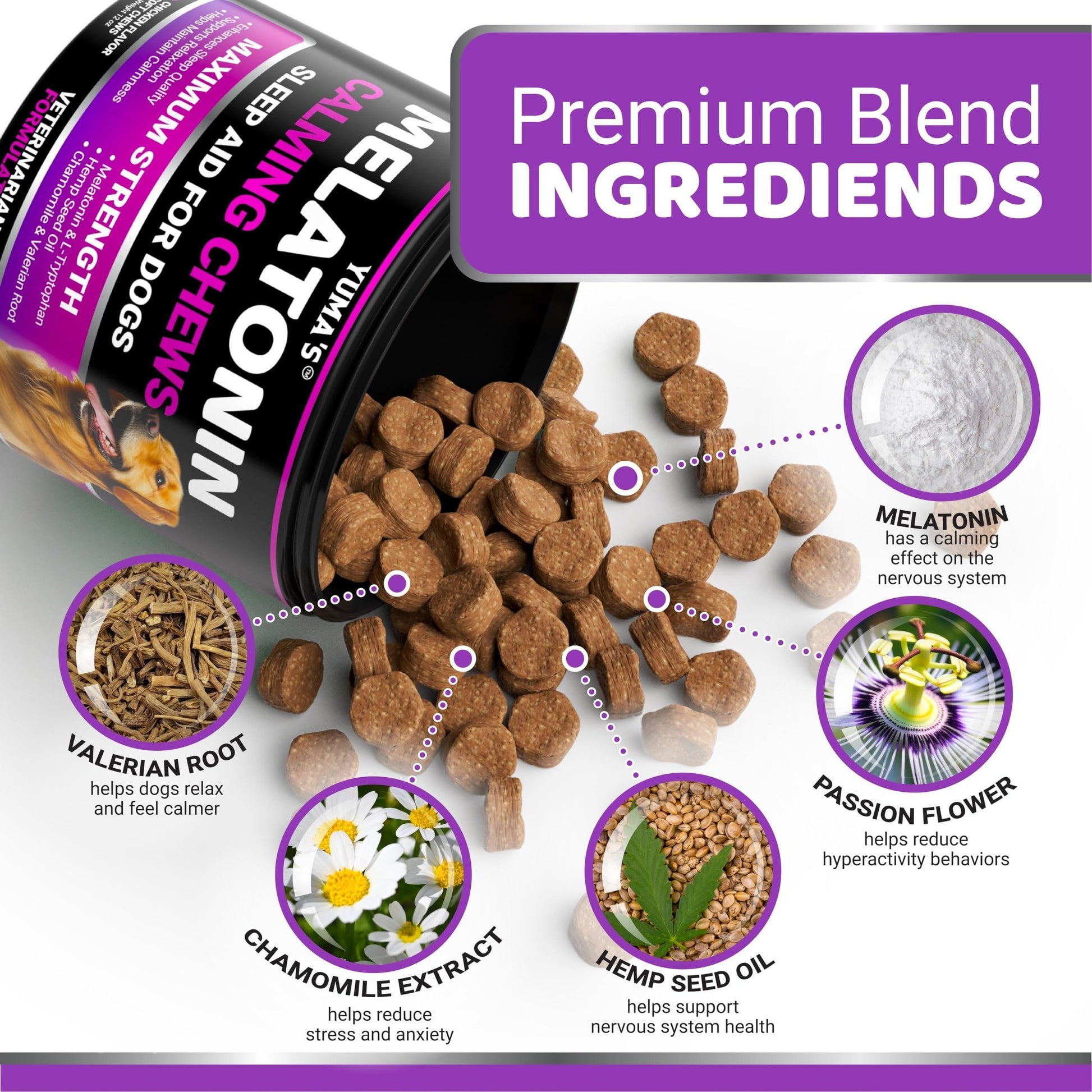 Soothing Melatonin Calming Chews for Dogs - 170 Chews for Stress and Anxiety Relief