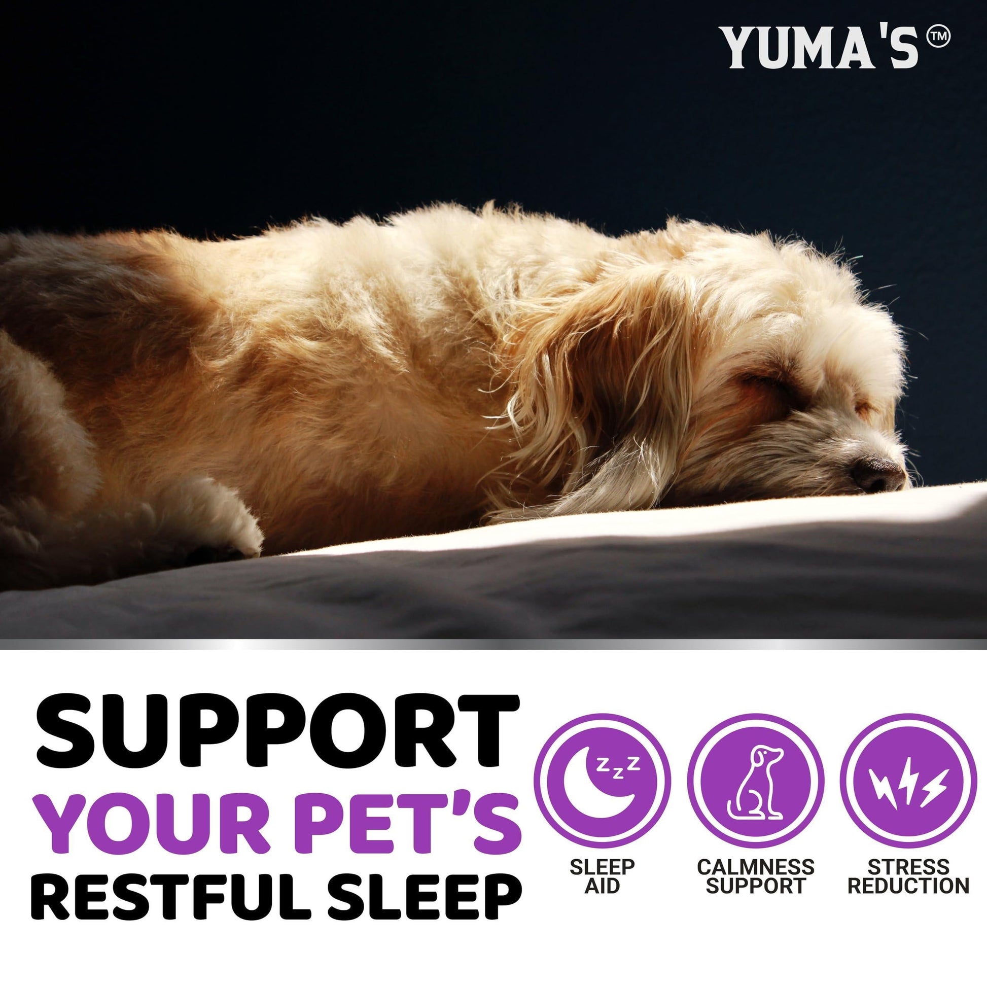 Soothing Melatonin Calming Chews for Dogs - 170 Chews for Stress and Anxiety Relief